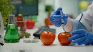 Importance of Laboratory Testing in Food Safety
